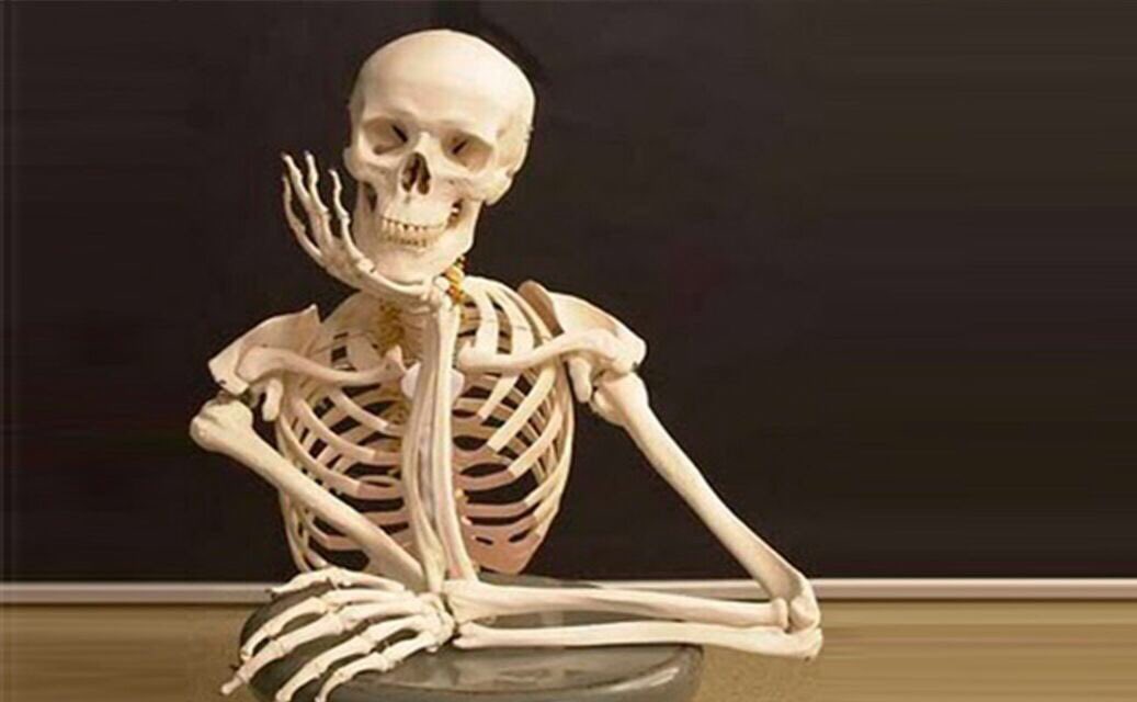 NachooSaucedo's tweet image. - nos juntamos?
- dale yo te aviso
-