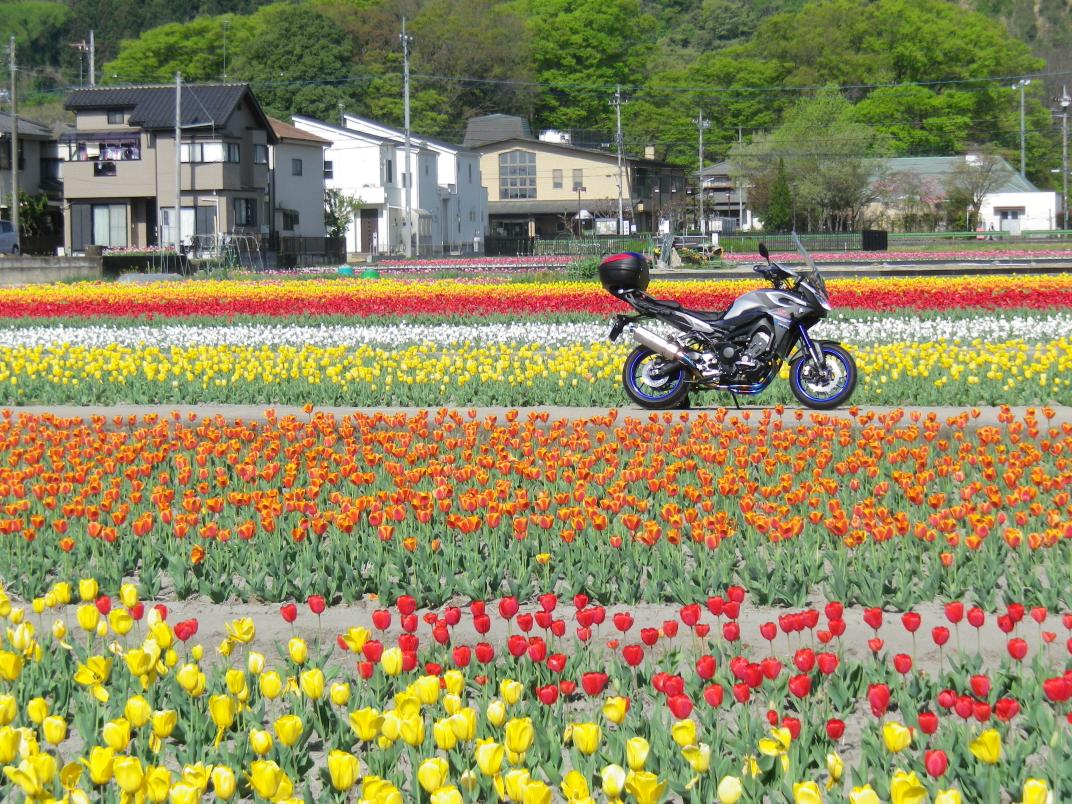 羽村市水上公園
