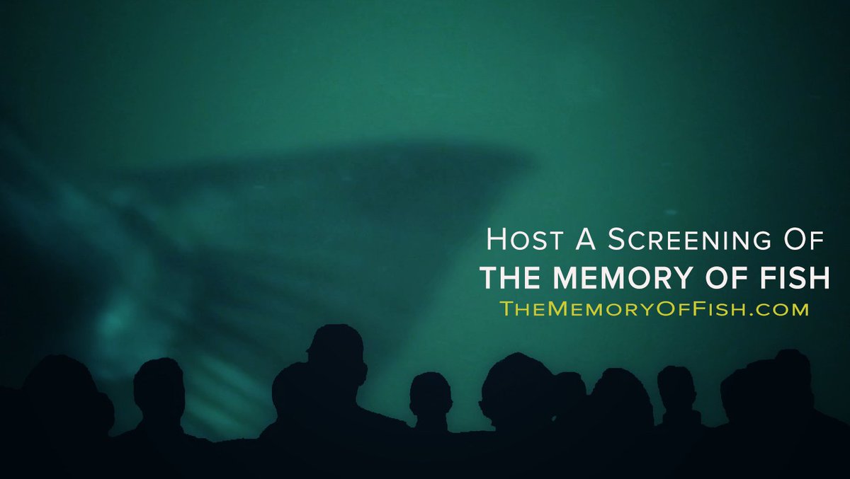 galvin_jen's tweet photo. Now you can host a screening of #TheMemoryOfFish! Learn more about ways to show the film outside of your home at https://t.co/MaM5dbWfaV #documentary #indiefilm #education #citizenscience #environment #water #river #Elwha #fish #fishing #salmon https://t.co/0y86i3UBZn