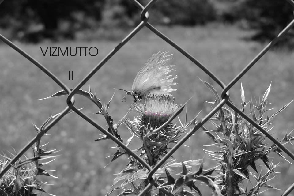 Vizmutto_Rock's tweet photo. Acá un adelanto de nuestro próximo álbum! https://t.co/E9Q6GNHOBL https://t.co/jy0Jt4KHtw