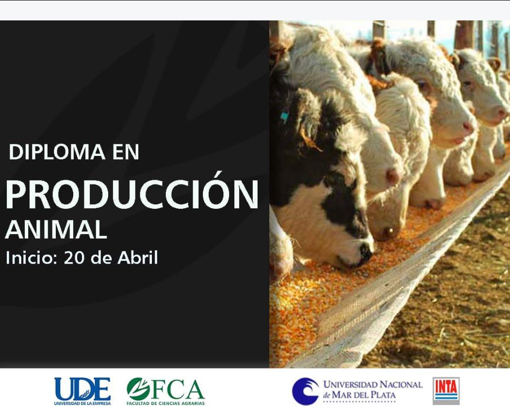 FCA - UDE on Twitter: FCA - UDE on Twitter: