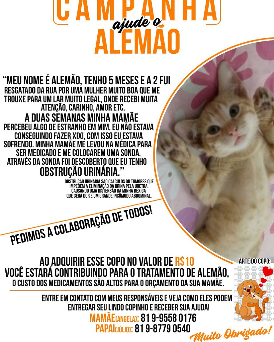 Inferno_Corall's tweet photo. 081 9 8779 0540

Mais informaçoes https://t.co/TY1XIL6yPm