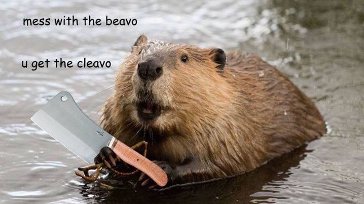 CauseWereGuys's tweet photo. https://t.co/8fslwXoAPW