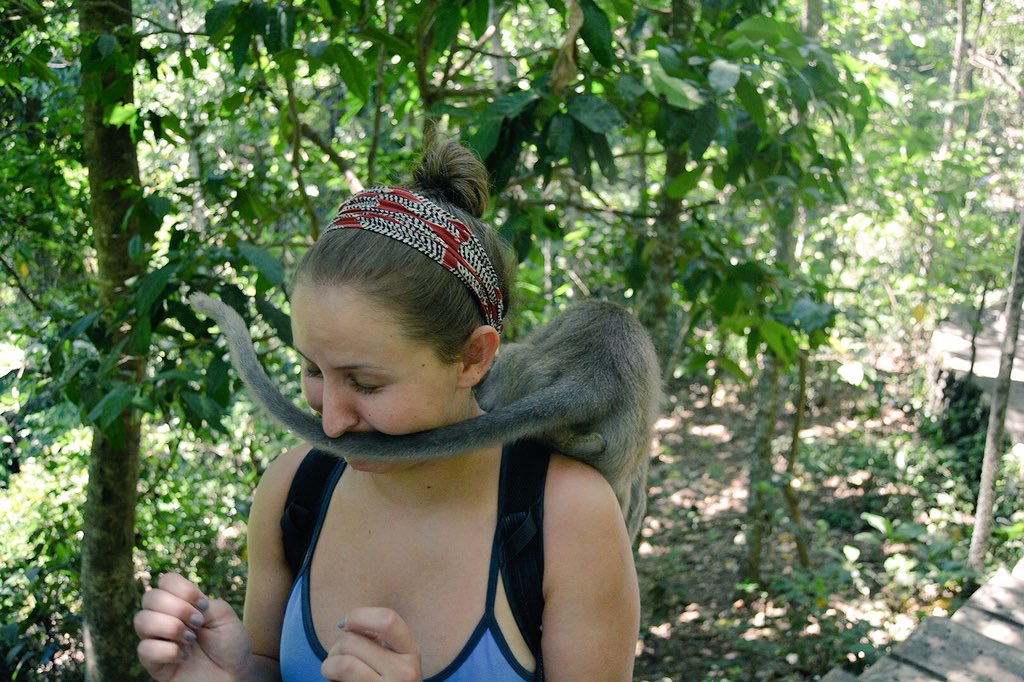 amybaum28's tweet photo. Monkeys gone wild and stole my @HydroFlask!! 😢Anything you can do for me @HydroFlask?? #RIPhydro #bali #ubud #sacredmonkeyforest https://t.co/nHZVyCmyxx