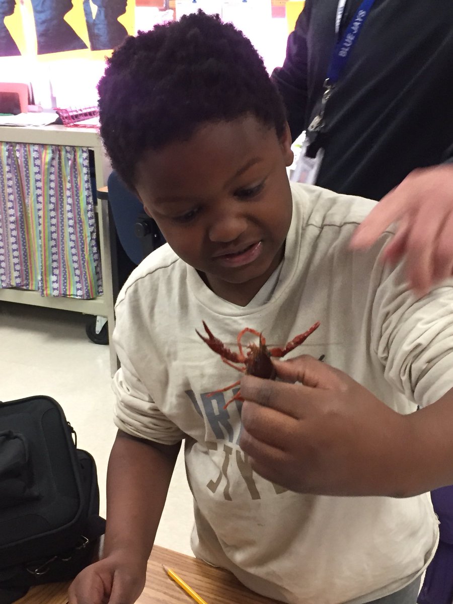 mrs_dinkel's tweet photo. So proud of my kiddos and how they handled the crayfish today! @SheridanUSD475 #FOSS475 https://t.co/7iMTtP6hbM