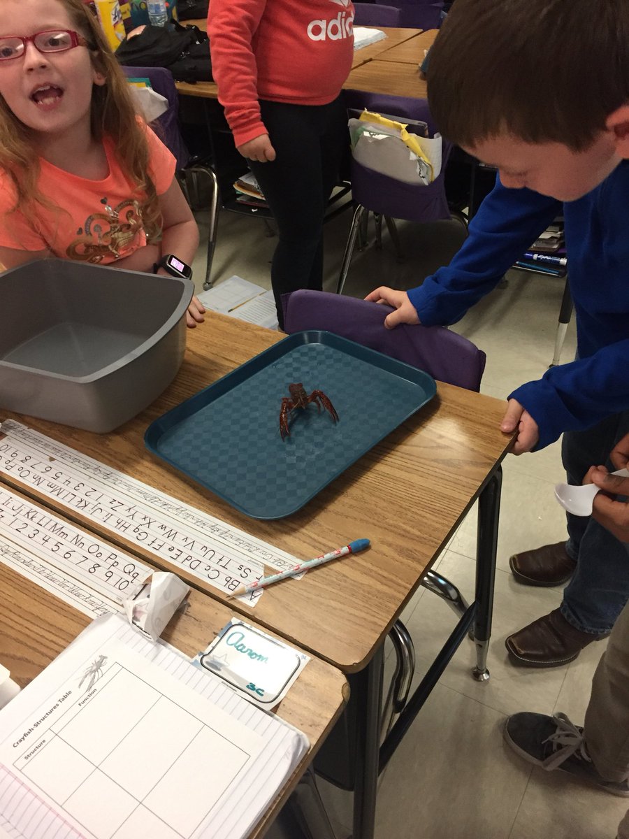 So proud of my kiddos and how they handled the crayfish today! <a href="/SheridanUSD475/">Sheridan Elementary</a> #FOSS475