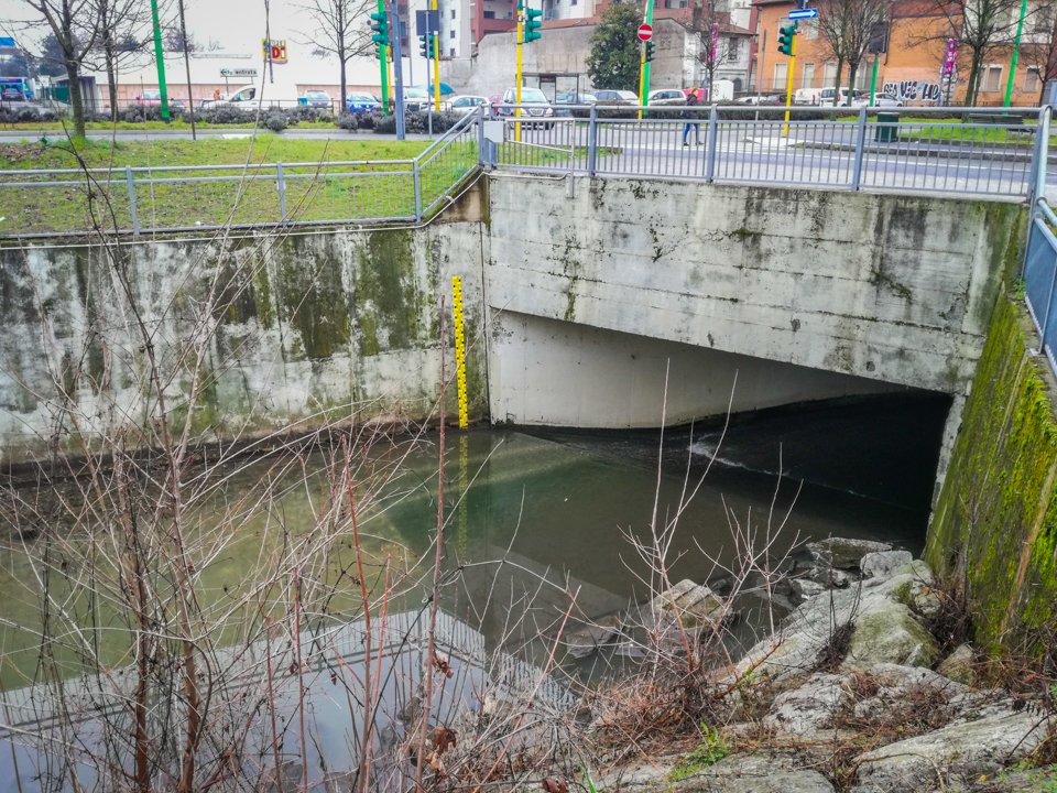 QuelliDelFiume's tweet photo. Alcune foto durante la visita con l'architetto Papa nel Parco Nord
#ASOC1718 #Seveso #QuelliDelFiume #Feltrinelli #Indagini https://t.co/KvBPlPaS2p