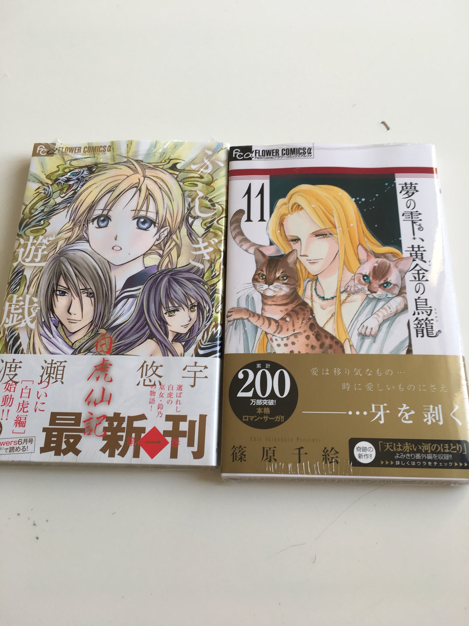 凪 うわーーーい ふしぎ遊戯白虎仙記 夢の雫 黄金の鳥籠 T Co Pgfamxvrdm Twitter