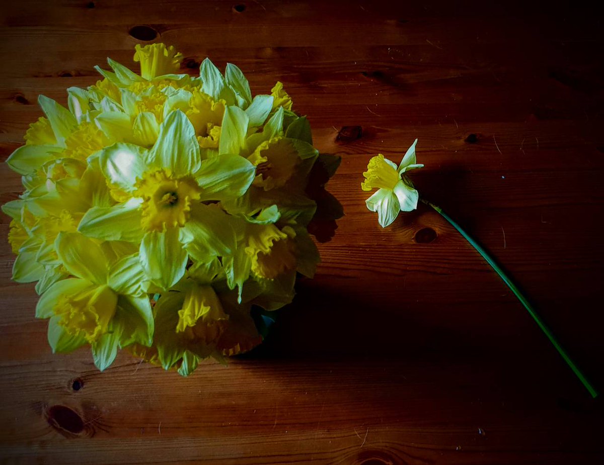 Playing with 💡🖌⚖ of 📷 makes quite a difference