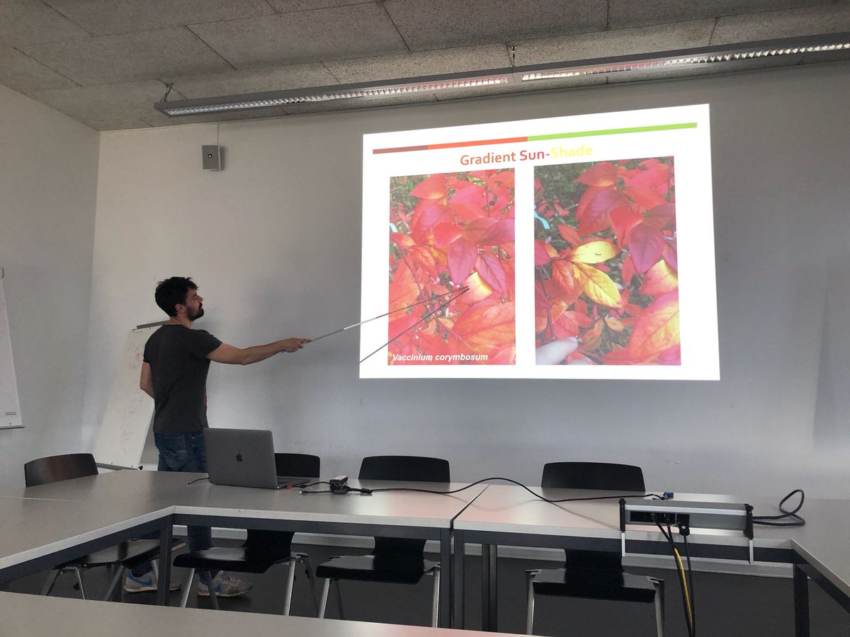CrowtherLab's tweet photo. Constantin’s take over week continues. Here he is leading this weeks Lab meeting. #MondayMotivation #labupdates https://t.co/brRR9KntxH