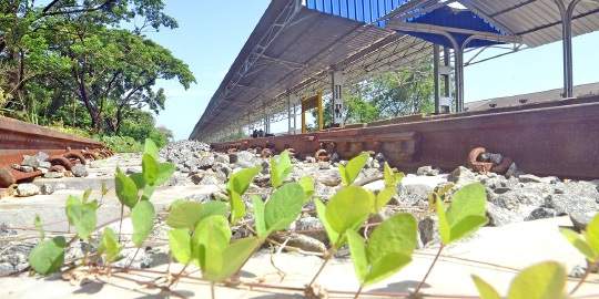 GeorgeJaisonNJ's tweet photo. @PiyushGoyalOffc @narendramodi @PiyushGoyal @alphonstourism @Kummanam @RailMinIndia @RailwaySeva Sir, Kochi Harbour Terminus railway station renovated in 2017 using Rs.7.5 Cr is still remaining unused. No trains depart or halt here. What a national waste !! https://t.co/sTfGV3pYyj