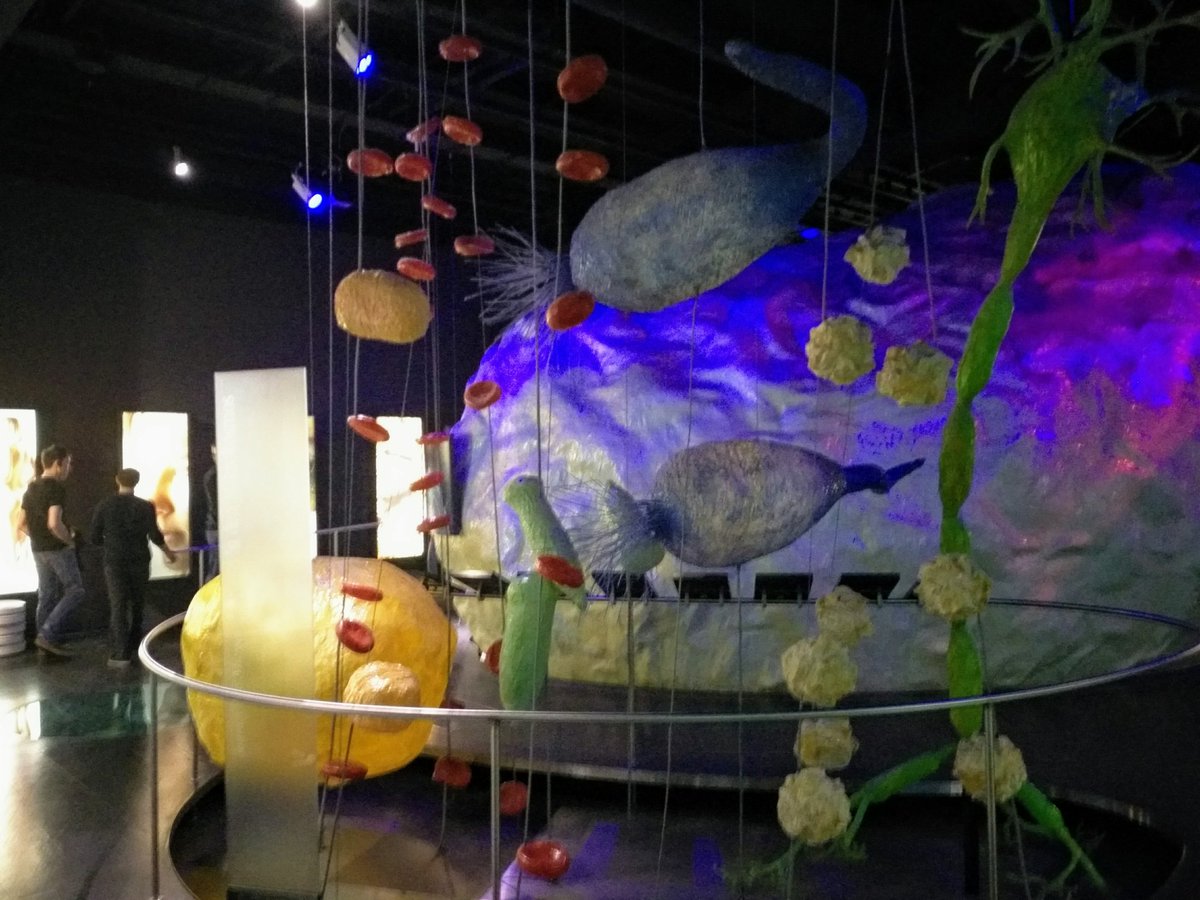 Our annual group retreat <a href="/BackofenLab/">backofenlab</a>, this year <a href="/DeutschesMuseum/">Deutsches Museum</a>, has been kicked off with a fantastic tour starting from Watt's revolutionary steam engine up to a 25K magnified model of a cell.