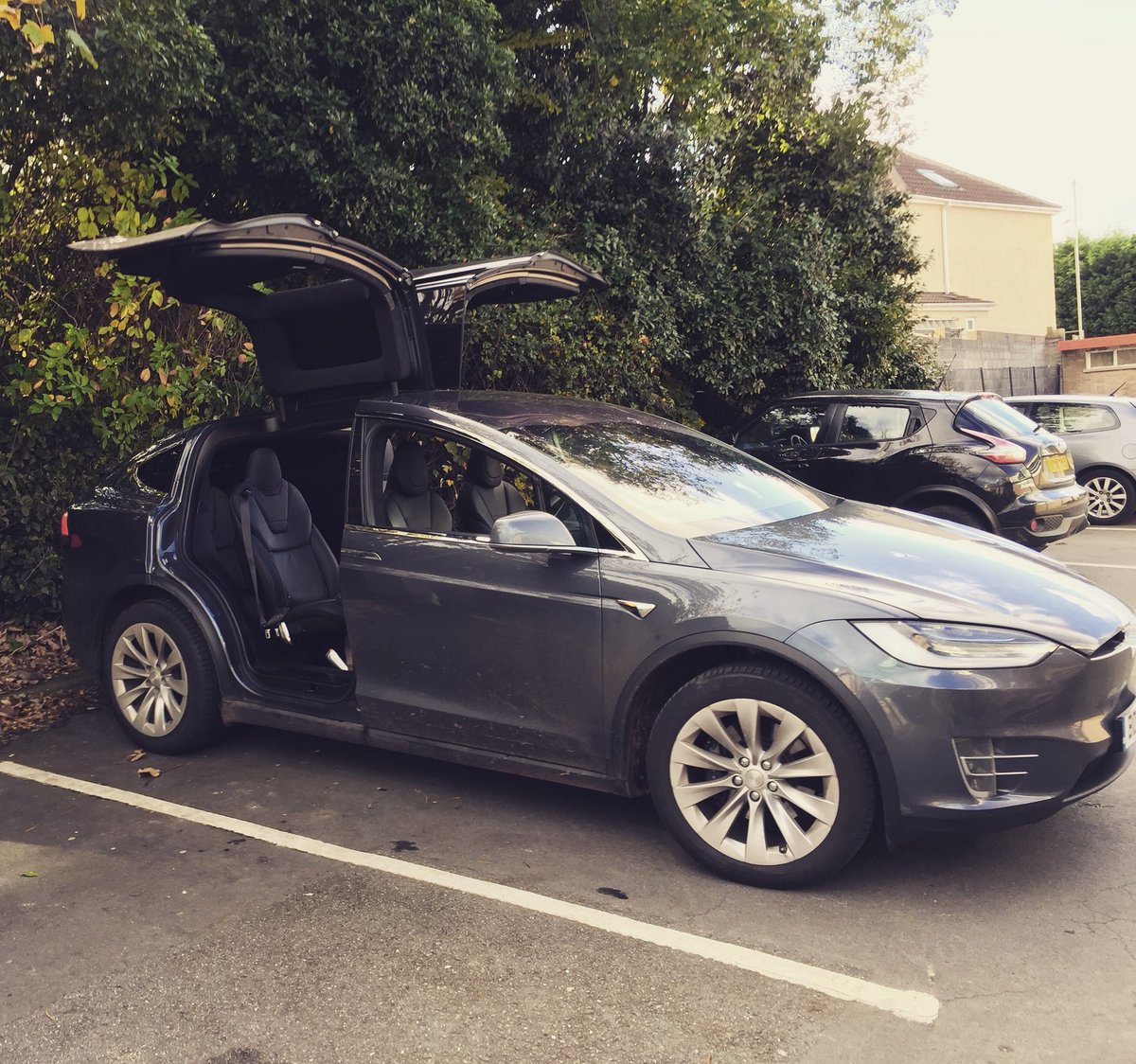 #tesla #modelx #crazycar