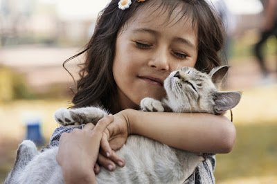 ThePetsDialogue's tweet photo. How can you own a cat and not understand their behavior? Read more: https://t.co/5ufo6ieYmE 

#CatsOfTwitter #catsofinstagram #catlovers #cats_of_instagram #catslife #catsagram #Catskills #animallovers #AnimalKingdom #animalfact #animaloftheday #animalparty #petsofinstagram https://t.co/2Q8ZtzHXNu