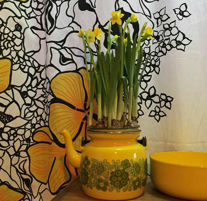 everydayempower's tweet photo. It's Tuesday. Why not treat yourself with some flowers? #aimforeverydayawesome #empoweryourhour #everydayempowermentproject #selfcare #selflove @retroriina beautiful! https://t.co/fBulA3jQ5A
