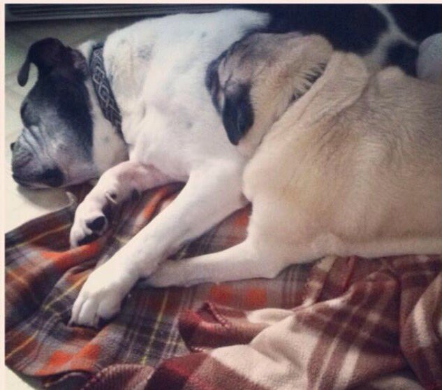 Best Friends Together again 🌈❤️