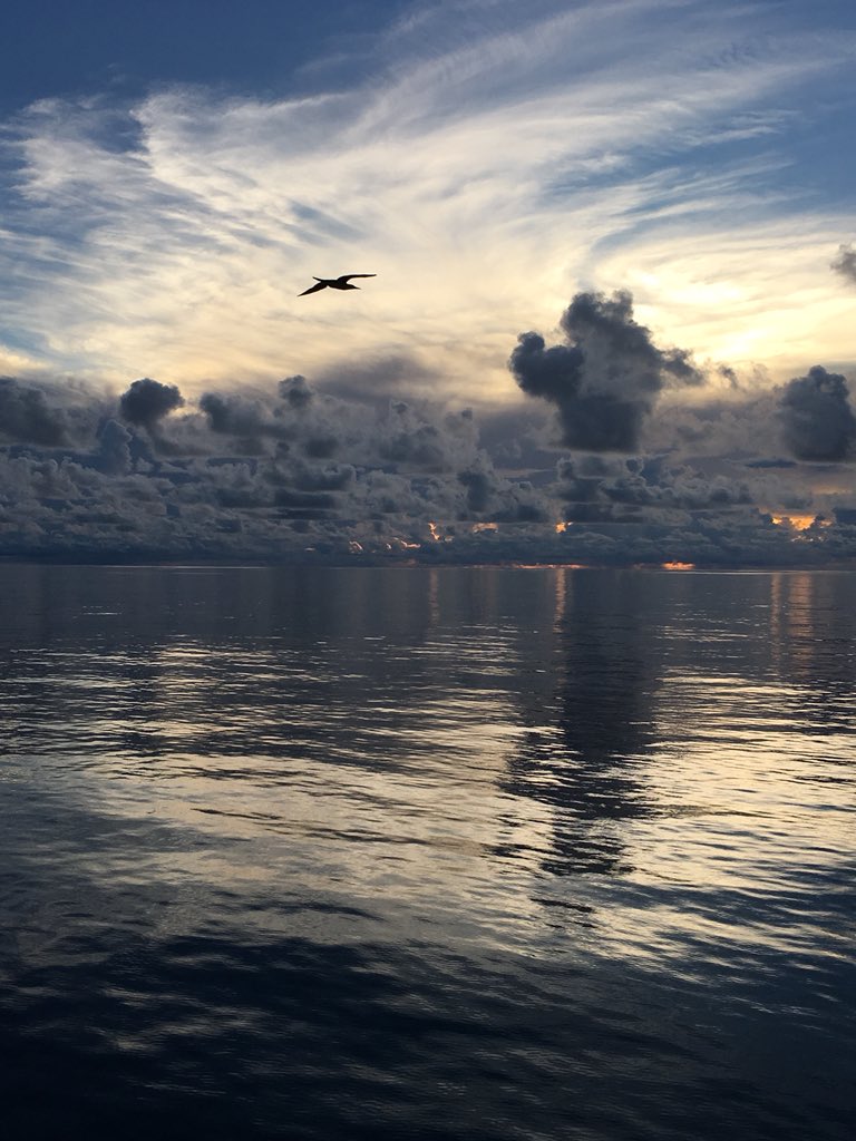 Not exactly in Galapagos, but it was the closest landmark today. Enjoying a magical sunset in the company of boobies onboard the Sonne. Few more days until work starts. #deepsearesearch #HWU
