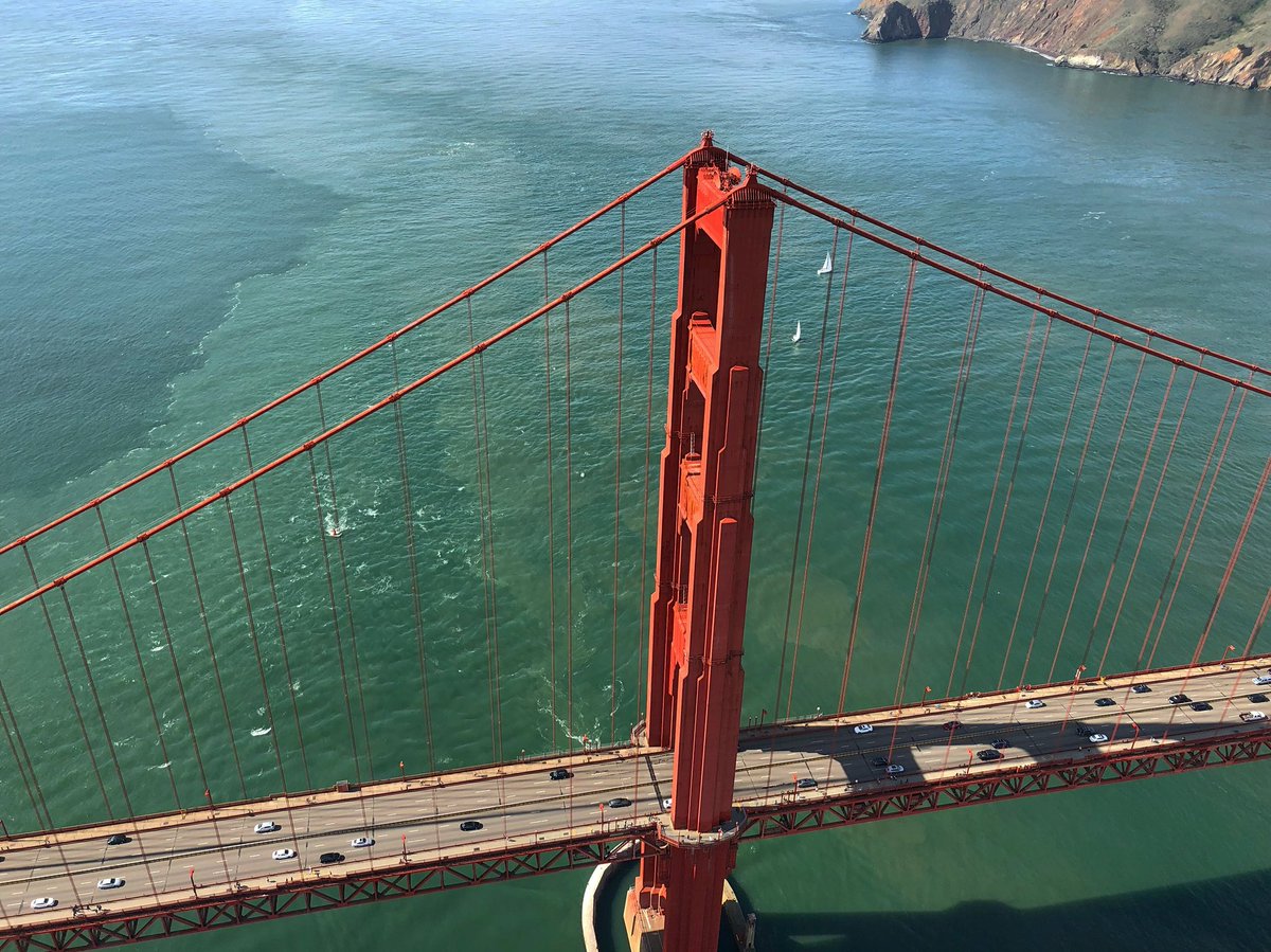TheGGBridge's tweet photo. Tan lines ☀️ https://t.co/cWRZHojEMc