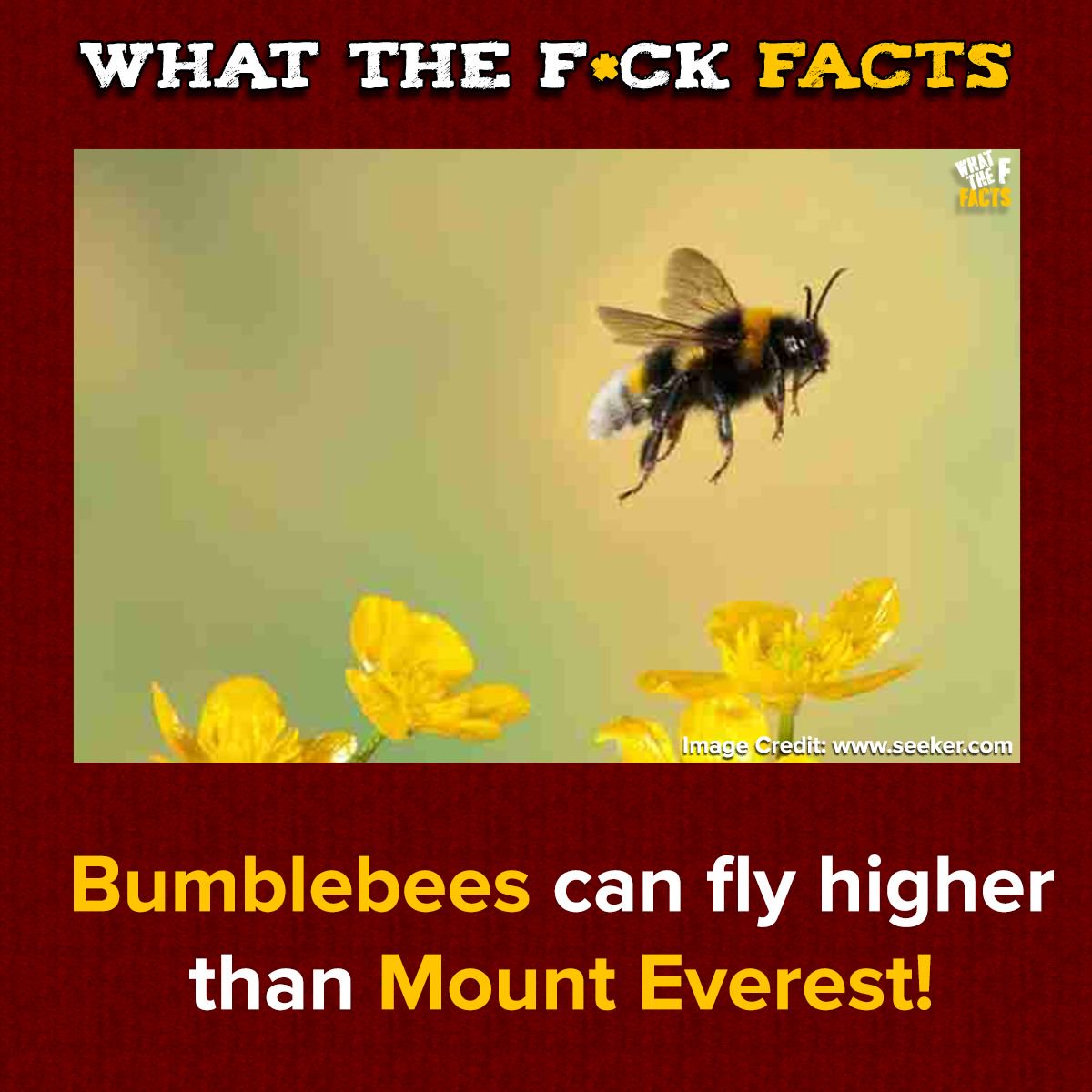 WhatTheFFacts's tweet photo. https://t.co/PiviyLiODg