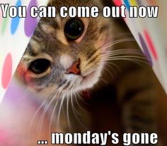 PendletonNW's tweet image. Morning all @abelalarm @JNE_Security &amp;amp; @RecoverKey - HAGD. Remember to #StaySafe When out &amp;amp; about...