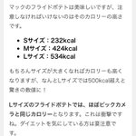 マクドナルドのポテトのカロリーを調査wLサイズポテトはビックカメラとほぼ同カロリー!？