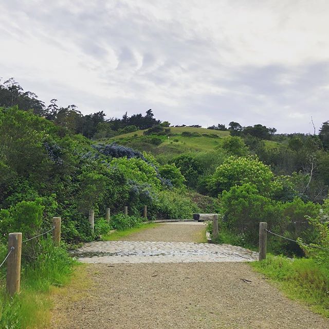sftrailrunning's tweet photo. A quick evening trail run through the Presidio and past El Polín Spring, a natural freshwater spring in the city. 🏃‍♀️🐸⛲️
.
.
#runtoexplore #trailrun #trailrunner #optoutside #sftrails #sftrailrunning #ultratraining #traillove #runnerlife #onemoremile #womenrunning #pres… https://t.co/pRI068WdFF