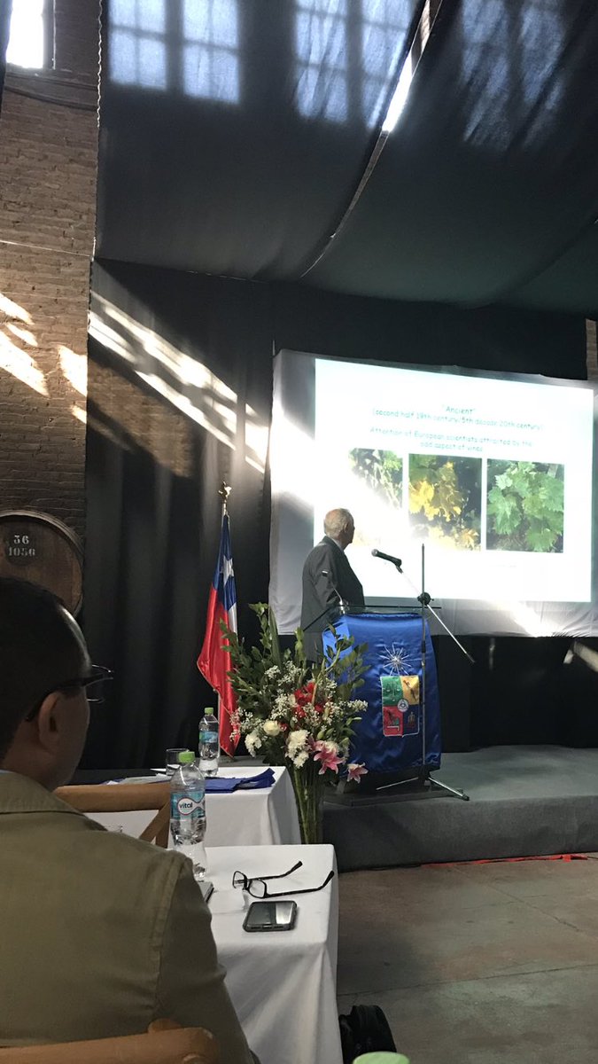 ejcieniewicz's tweet photo. Really incredible to learn from world leaders in #grapevine virus and phytoplasma research at #ICVG2018 in Santiago de Chile! Putting faces to the review articles, so to say. Plus now that my talk is over I can relax and enjoy beautiful #Santiago 😊🍷 https://t.co/F3MYjZ0sJf