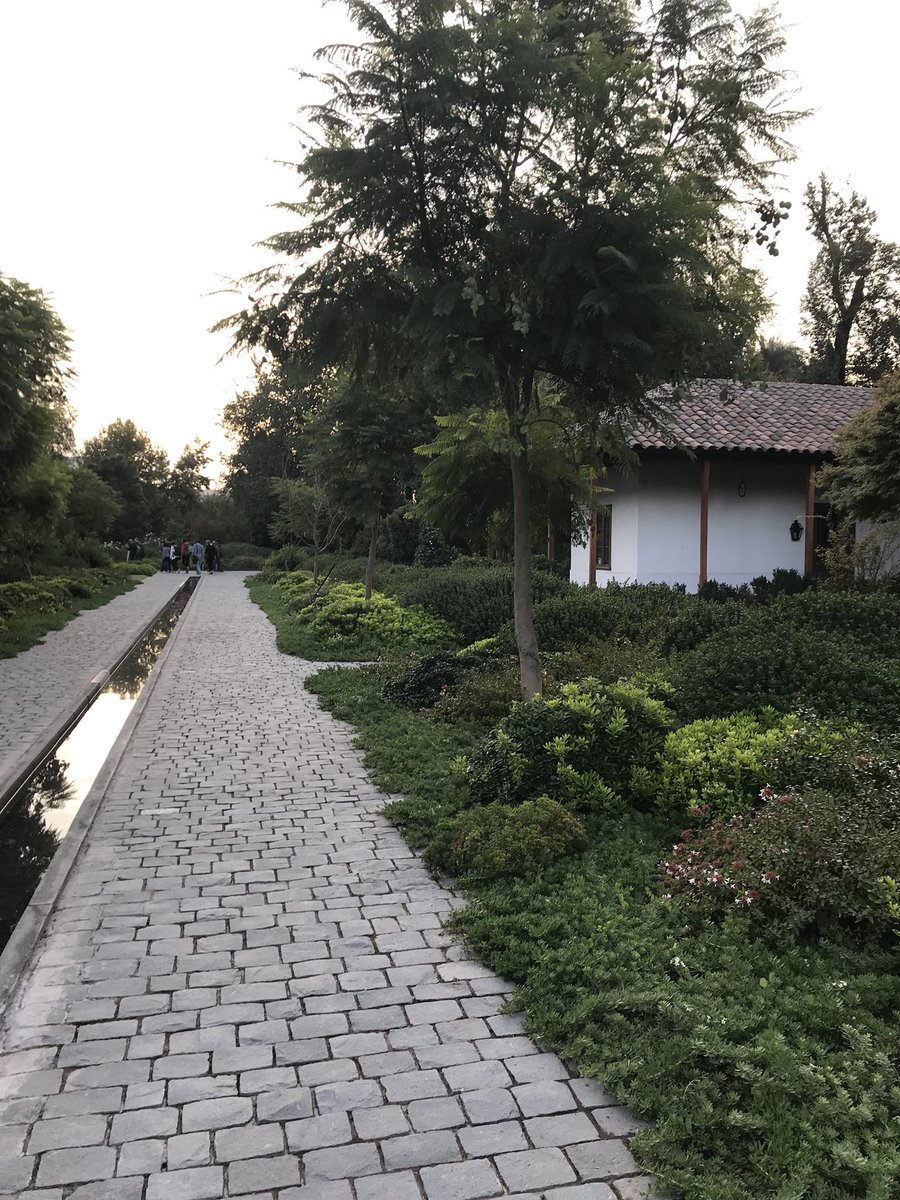 ejcieniewicz's tweet photo. Really incredible to learn from world leaders in #grapevine virus and phytoplasma research at #ICVG2018 in Santiago de Chile! Putting faces to the review articles, so to say. Plus now that my talk is over I can relax and enjoy beautiful #Santiago 😊🍷 https://t.co/F3MYjZ0sJf