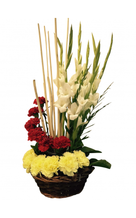 vicky191rajput's tweet photo. #Carnation - The Official #Flower of Mother’s Day.
Visit Link - https://t.co/X7XUTRhgGa
#CarnationFlowers
#BloomsOnly https://t.co/pQ0SC9LRSz