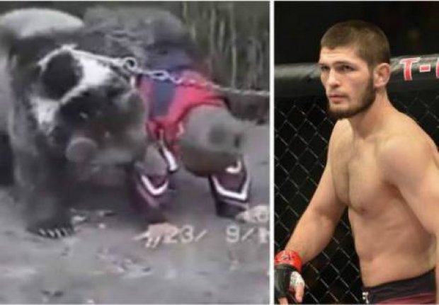 tvkhabar24's tweet image. Аюмен алысқан бала Хабиб жанкүйерлерін сүйсіндірді.
ВИДЕО 📹goo.gl/x1oAi5
#бокс #ХабибНурмагомедов