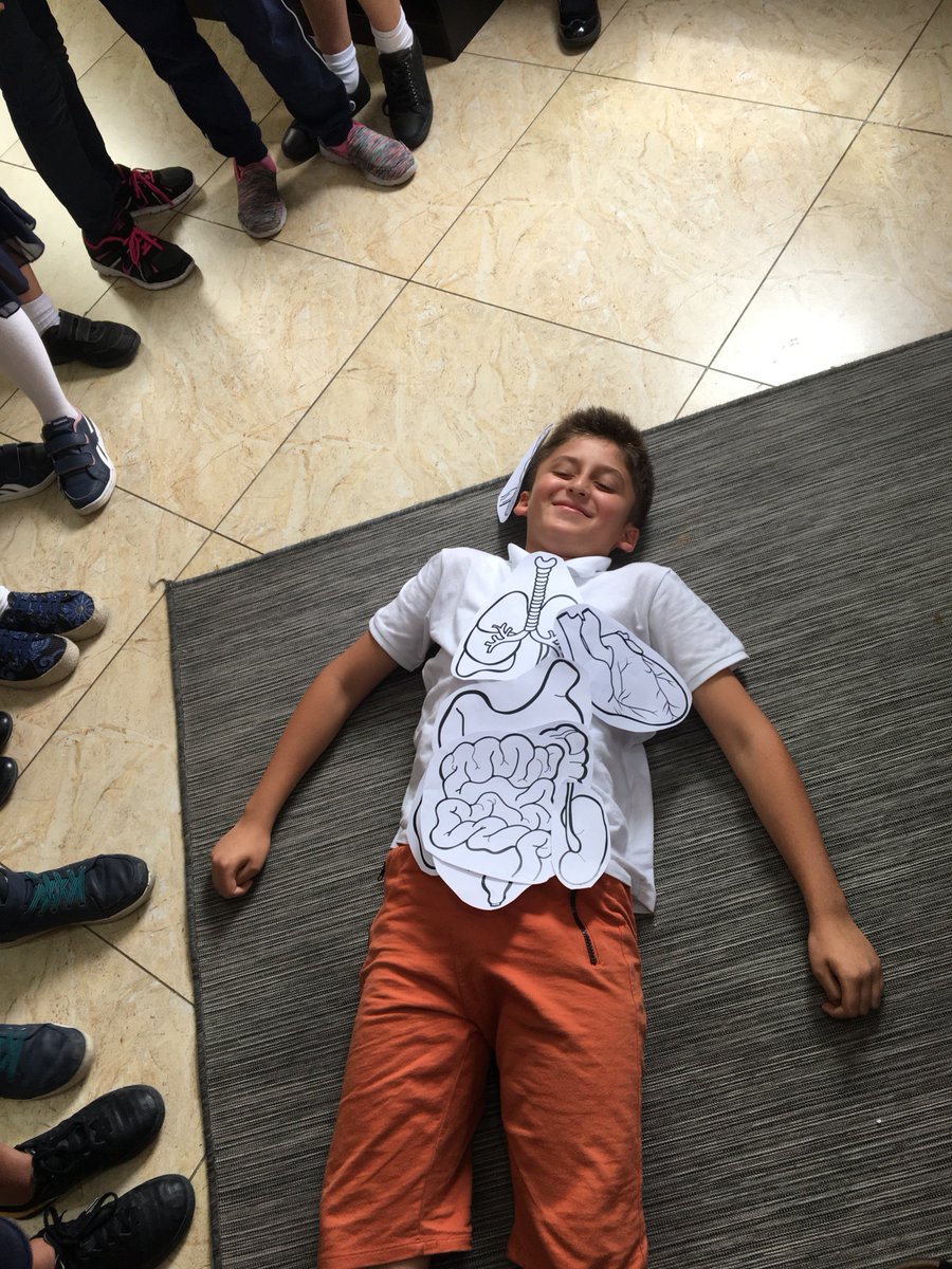 AWISDoha's tweet photo. Our Year 4 students are loving their new IPC unit #HowHumansWork These images represent work carried our during their recent #knowledgeharvest #AWISLearningCommunity https://t.co/GAnb7kRUTo