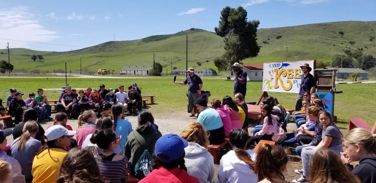 Matt Diggle tweet media