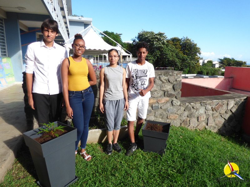 LPHorizon974's tweet image. #journeedelarbre #lareunionpositive @regionreunion @academiereunion #cardierun