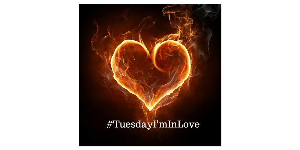 smblprt4writers's tweet photo. #TuesdayI'mInLove https://t.co/7T1D7eqDpe
