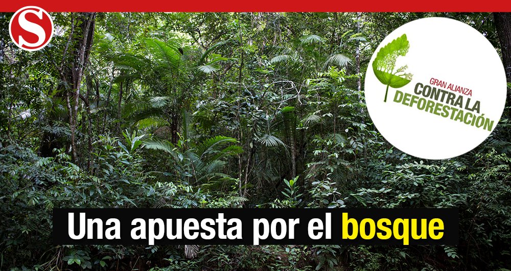 Revista Semana tweet media