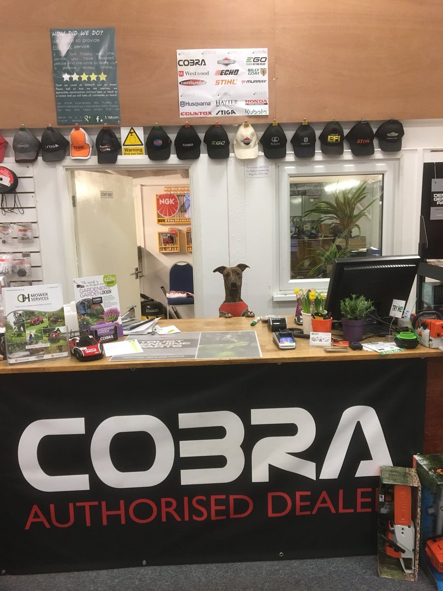 ohmowerservices's tweet photo. Today we are training our newest member of staff @CobraGarden @EGOPowerPlus @WestwoodTractor @Ariens @ECHOTools_UK https://t.co/pgOSUNIKIr