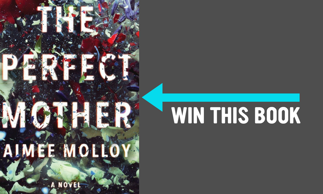 BookRiot's tweet photo. Enter to win one of 250 audio downloads of THE PERFECT MOTHER by Aimee Molloy: https://t.co/LA3f5y9VYY https://t.co/b7go31adLj