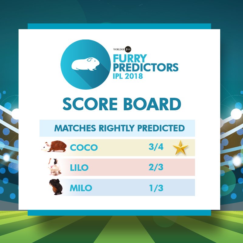 FurryPredictors's tweet photo. While the teams battle it out on the field, the #FurryPredictors are going head-on against each other! #IPL #IPL11 #IPL18 #IPL2018 #IndianPremierLeague https://t.co/BnnlT0c0AD