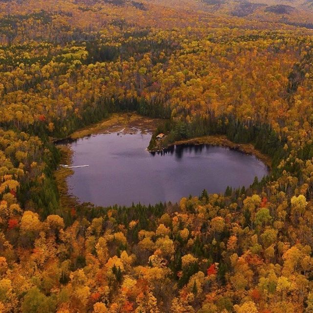 iklimco's tweet photo. Purple Haze reflection 🍁 https://t.co/QC2K2J6oGV
.
.
#nature #art #loveofnature #climate #effect #impact #weather #intensity #ecosystem #saveplanet #earthlings #earthcolour #innovation #startup #risk #analysis https://t.co/E5NMnvZZwS https://t.co/nH53HekptA