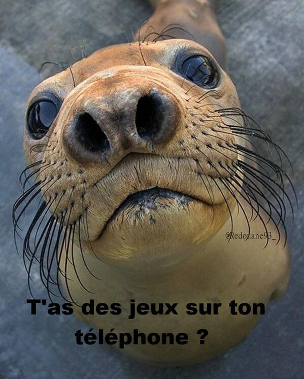 Humour Blanc tweet media