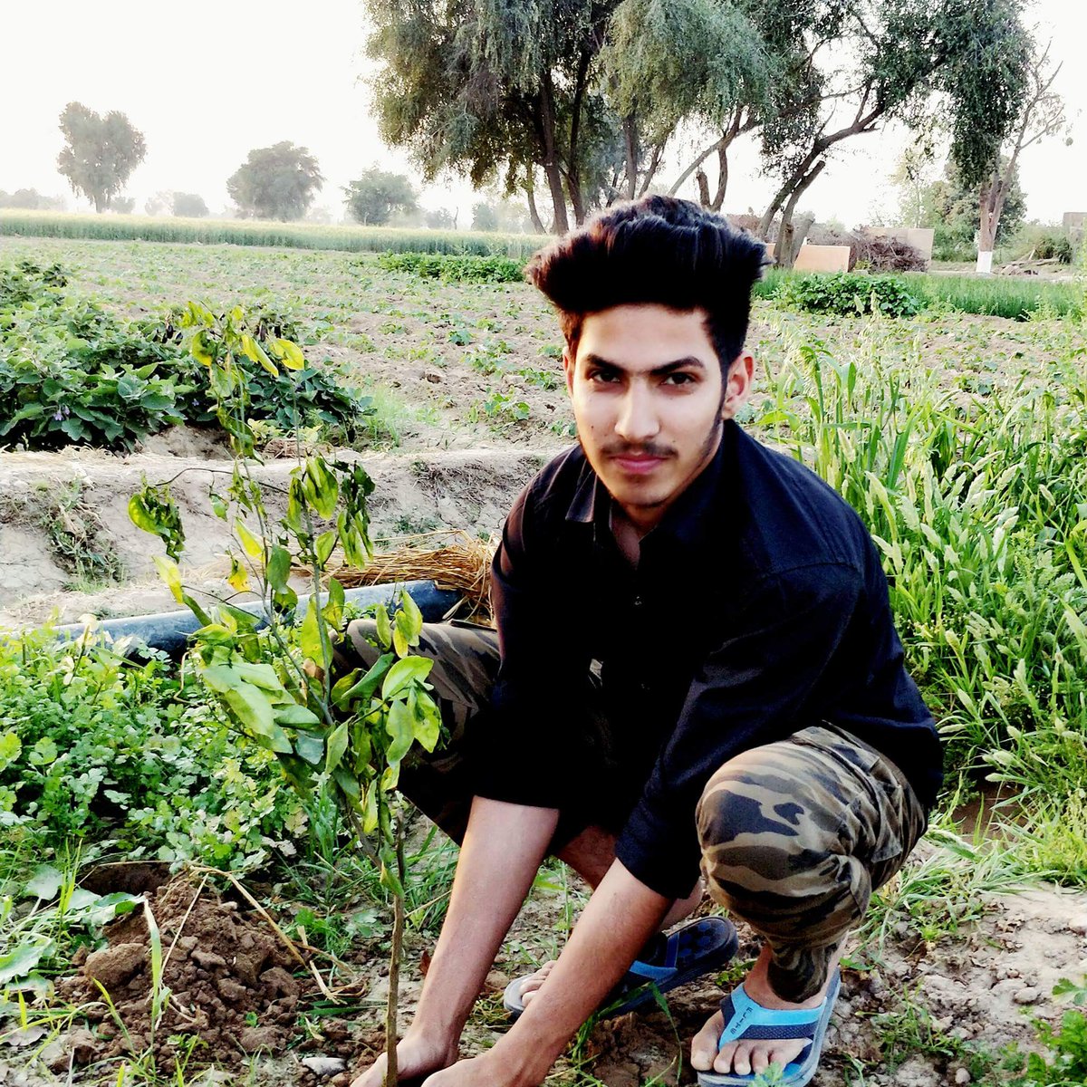 #TeachingsByDrMSG
#SaintMSG_Initiative 
Tree plantation by @derasachasauda volunteer 
#ShareThisMessage 
@WHO 
@insanshobha 
@rameshchahal