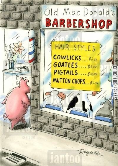 The Barber Van Ltd tweet media