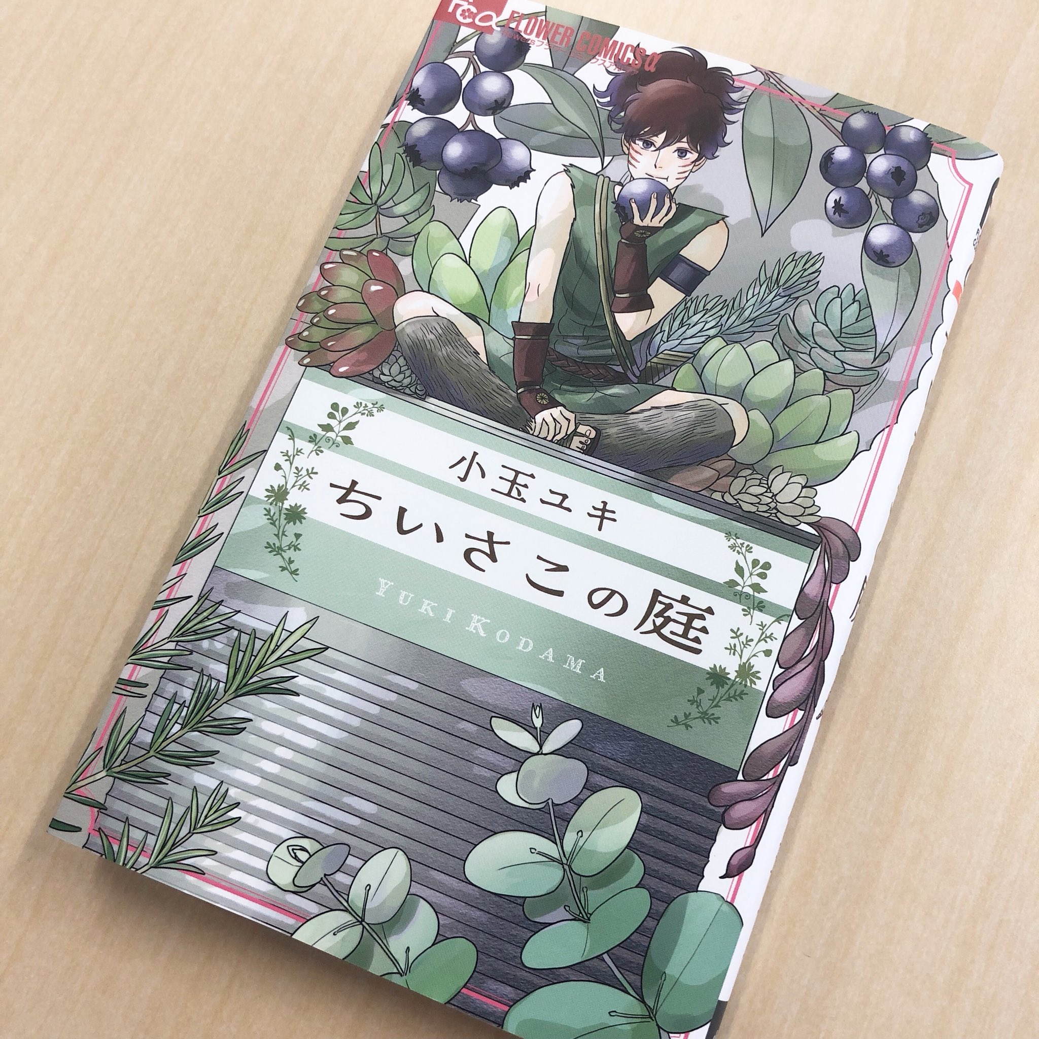 Ryoko Nishizuka 小玉ユキ先生の ちいさこの庭 に貂明朝を使っていただきました タイトルのちどりは貂明朝との相性もばっちりなので 頑張ってリリース目指します 装丁は名久井直子さん しかし小玉先生の作品ホント好き T Co Ts8swyjxpo