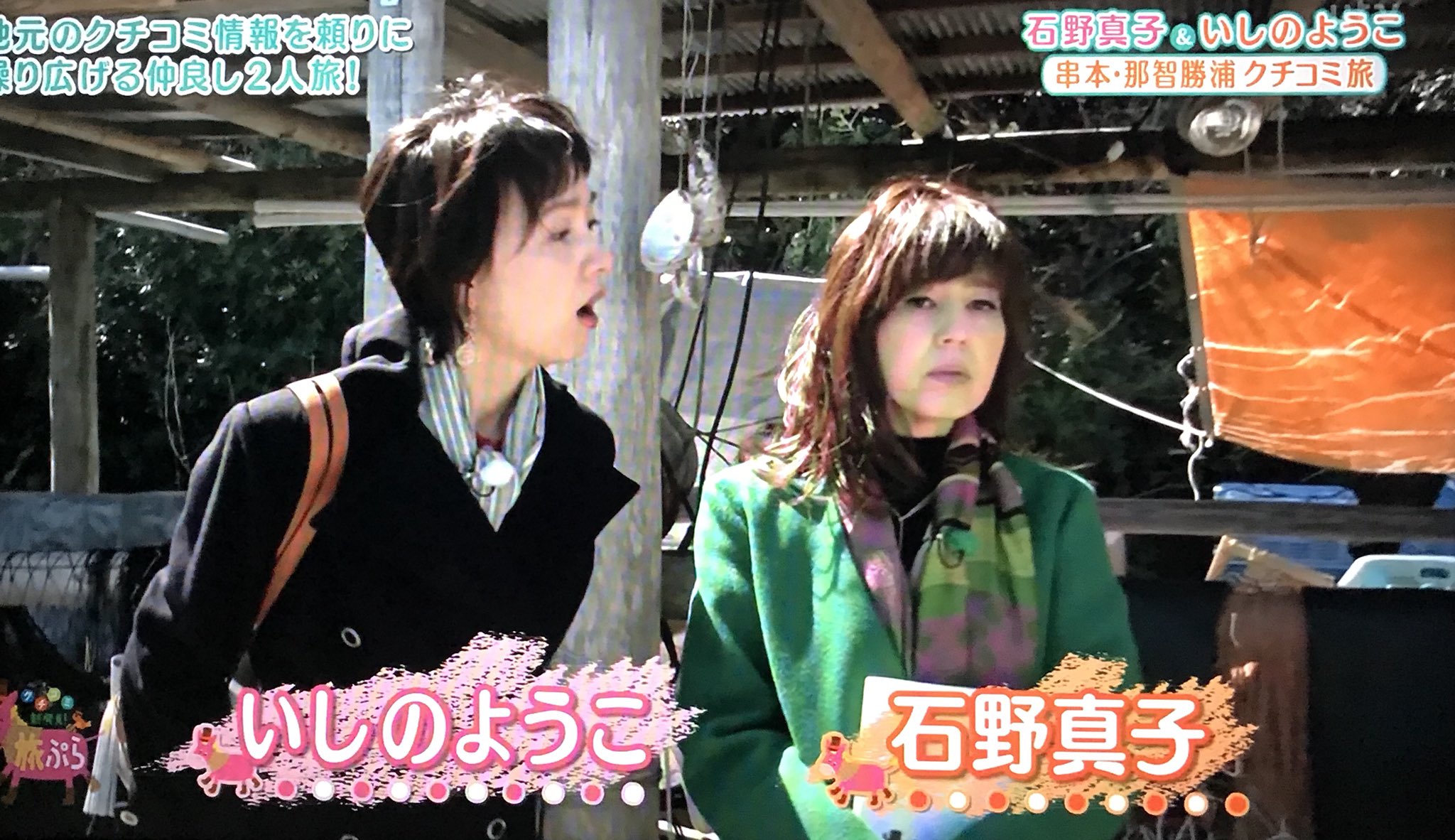 陽子 石野 石野 真子