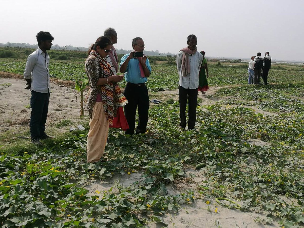 AusAmbNP's tweet photo. River Bed Farming, an age old tradition of the 'Koiri' people now benefits more than 1,000 landless micro-entrepreneurs in Central Terai supported by the Micro Enterprise Development Program #MEDEP #AustralianAid #PrivateSectorEngagement @UNDPNepal @dfat https://t.co/ccHw05Mgbz