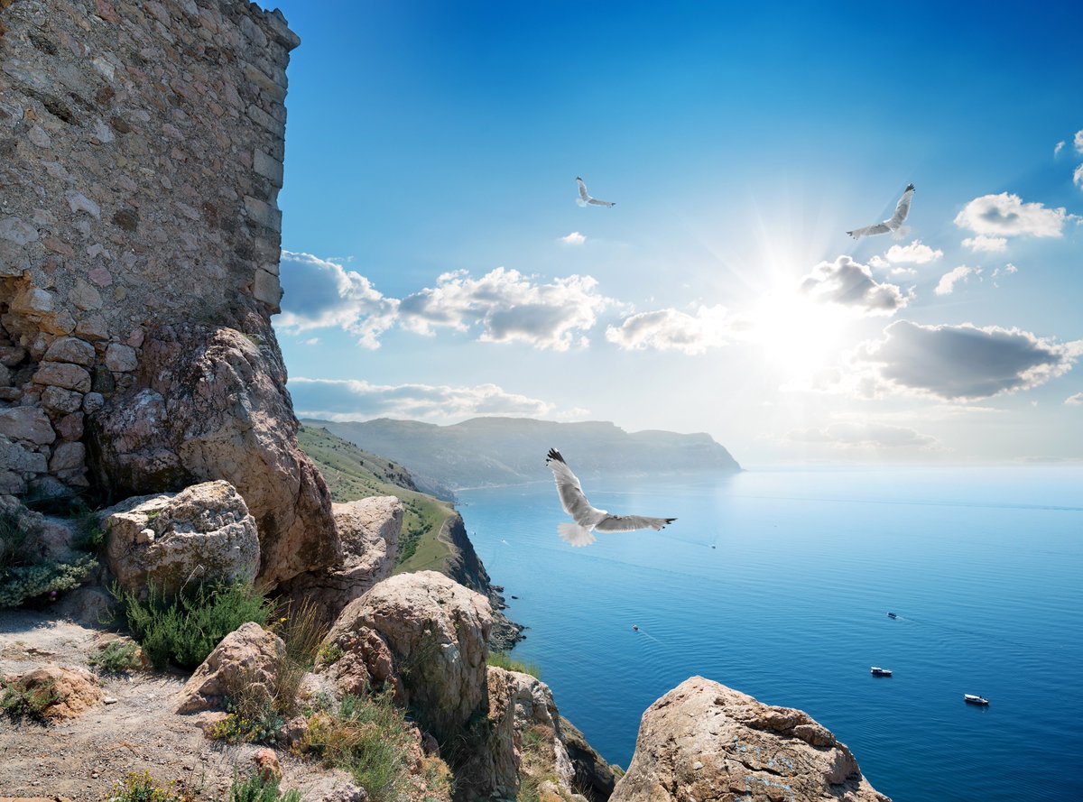PicPublic's tweet photo. Goodmorning

Crimea https://t.co/A16uSbjDcR