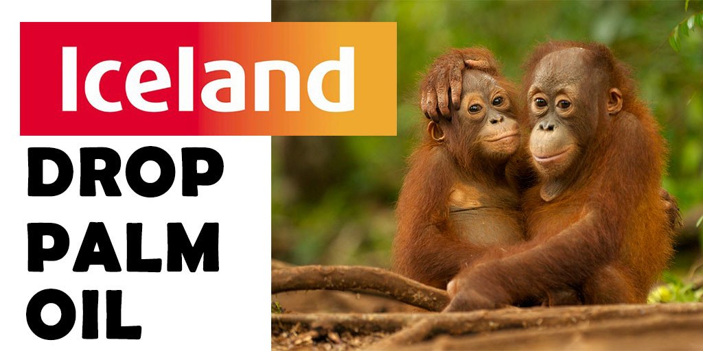 BREAKING: By the end of 2018, <a href="/IcelandFoods/">Iceland Foods ❄️</a> will become the first UK supermarket to stop using palm oil in its own brand foods.

This is what happens when suppliers, traders and manufacturers fail to clean up their act and continue destroying rainforests to produce palm oil.