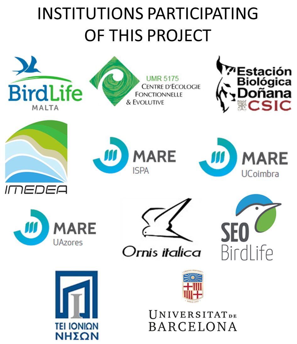 CritterMapper's tweet photo. 5.Hacen falta estudios a gran escala para comprender las dinámicas de especie, clave en el desarrollo de medidas efectivas de protección y manejo en las zonas de invernada. Sólo mediante colaboración internacional se pueden llegar a reunir datasets tan extensos #TrackDist #WSTC4 https://t.co/2j87xVJGoQ