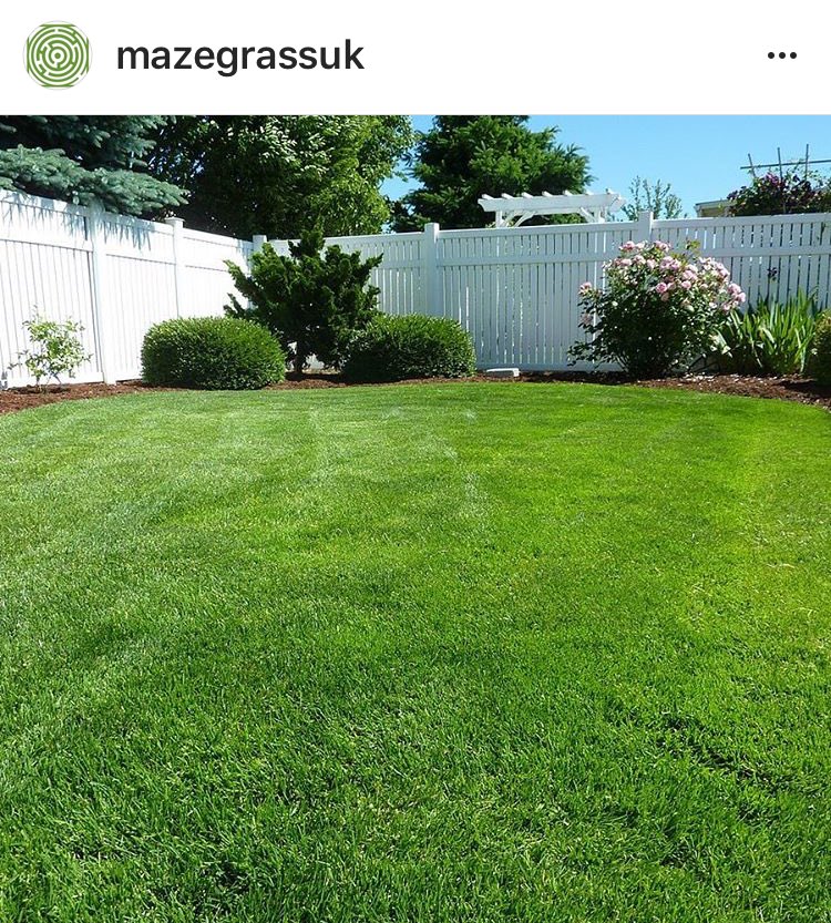 EssexPR's tweet photo. Please follow my friends at Maze Grass #ArtificialGrass

The best in the business

Mazegrassuk on insta https://t.co/g9OH8Sup7c