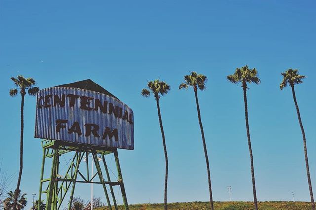 CoffeeandHipOC's tweet photo. Centennial Farm, Costa Mesa https://t.co/fAxA30Xn9W https://t.co/NtuvKS1EyO